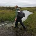 Becca walks along tundra.